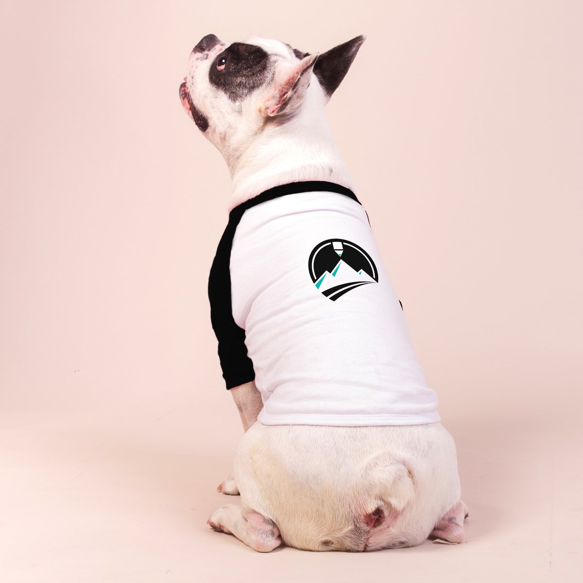 Nome do produto: Camisa Pet Dog - Montink