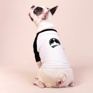 Nome do produto Camisa Pet Dog - Montink