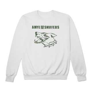 Nome do produto [Moletom Premium] AMYL AND THE SNIFFERS