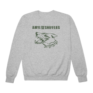 [Moletom Premium] AMYL AND THE SNIFFERS