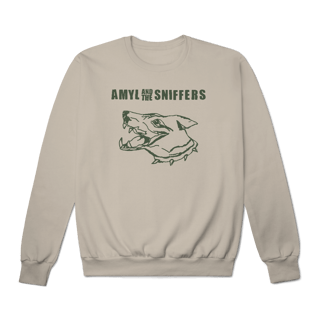 Nome do produto [Moletom Premium] AMYL AND THE SNIFFERS