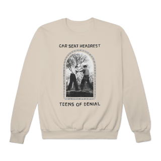 Nome do produto [Moletom Premium] CAR SEAT HEADREST / TEENS OF DENIAL