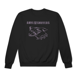Nome do produto [Moletom Premium] AMYL AND THE SNIFFERS