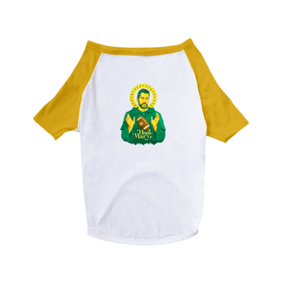 Nome do produto Green Bay - Godgers (pets)