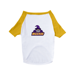 Nome do produto Brasília Wizards - Team dog (pets)
