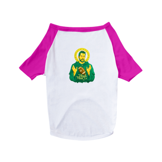 Nome do produto Green Bay - Godgers (pets)