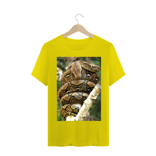 Nome do produto PÍTON RETICULADA (Malayopython reticulatus)