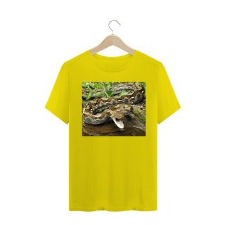 Nome do produto PÍTON RETICULADA (Malayopython reticulatus)