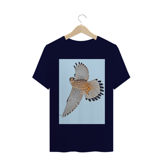 FALCÃO COMUM (Falco Tinnunculus)