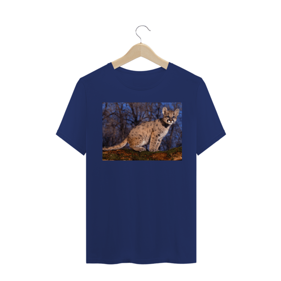 PUMA FILHOTE / COUGAR