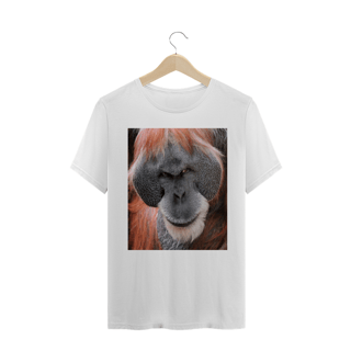 Nome do produto ORANGOTANGO CLOSE