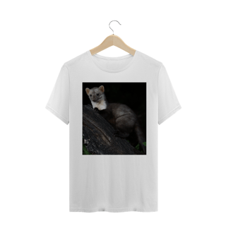 Nome do produto FUINHA (Martes foina)