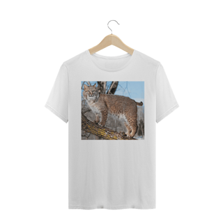 Nome do produto LINCE VERMELHO / BOBCAT (Lynx rufus)