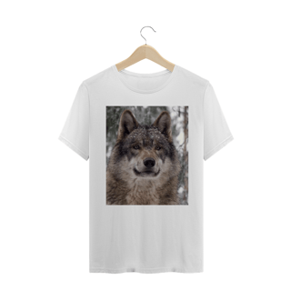 Nome do produto LOBO CINZENTO CLOSE (Canis lupus)