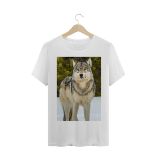 Nome do produto LOBO CINZENTO (Canis lupus)