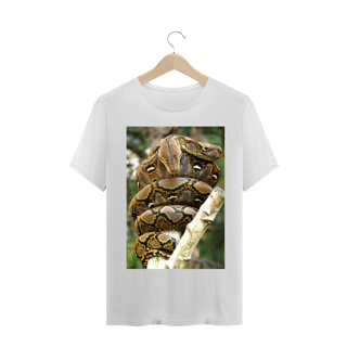 Nome do produto PÍTON RETICULADA (Malayopython reticulatus)