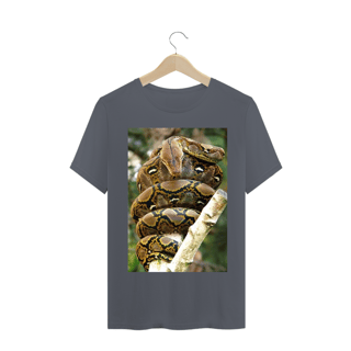 Nome do produto PÍTON RETICULADA (Malayopython reticulatus)