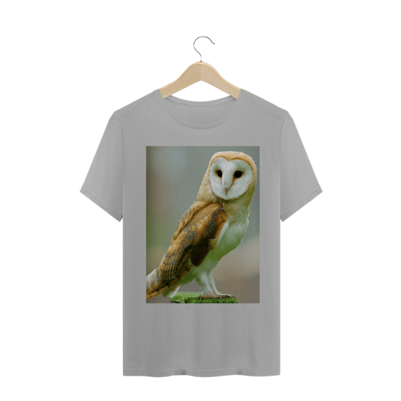 CORUJA DAS TORRES (Tyto alba)