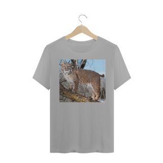 Nome do produto LINCE VERMELHO / BOBCAT (Lynx rufus)