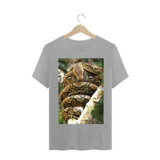 Nome do produto PÍTON RETICULADA (Malayopython reticulatus)