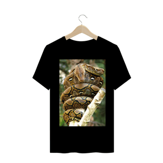 Nome do produto PÍTON RETICULADA (Malayopython reticulatus)