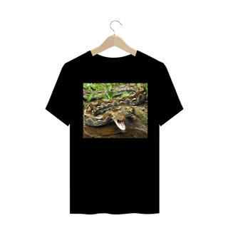 Nome do produto PÍTON RETICULADA (Malayopython reticulatus)