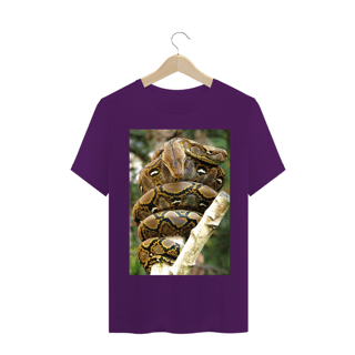 Nome do produto PÍTON RETICULADA (Malayopython reticulatus)