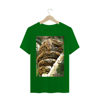 Nome do produto PÍTON RETICULADA (Malayopython reticulatus)