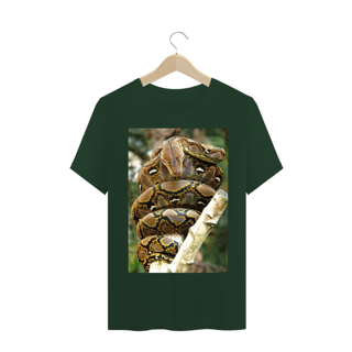 Nome do produto PÍTON RETICULADA (Malayopython reticulatus)