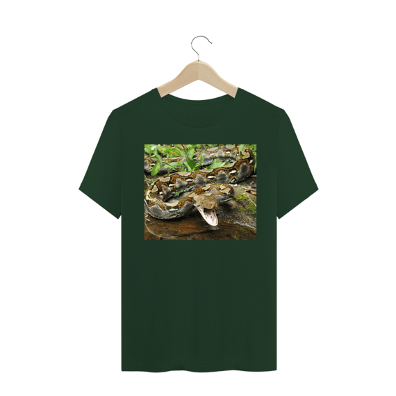 PÍTON RETICULADA (Malayopython reticulatus)