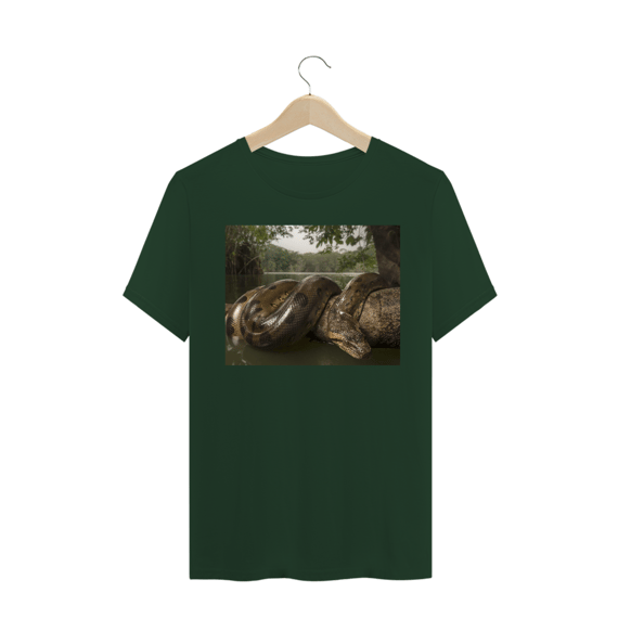 SUCURI VERDE / ANACONDA (Eunectes murinus)