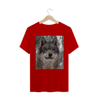 Nome do produto LOBO CINZENTO CLOSE (Canis lupus)