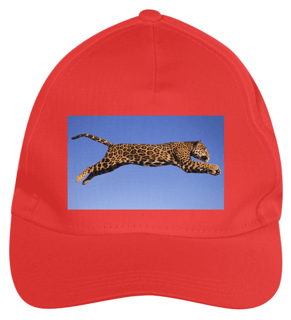 Nome do produto BONÉ - ONÇA PINTADA