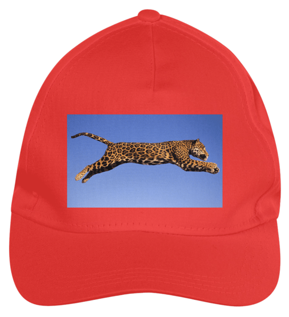 BONÉ - ONÇA PINTADA