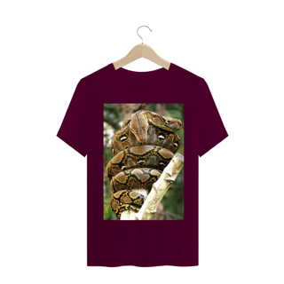 Nome do produto PÍTON RETICULADA (Malayopython reticulatus)