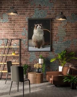 Poster Cat
