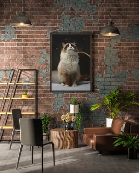 Poster Cat
