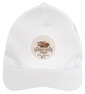 Nome do produto10022 VITÓRIA WESTER ® | BONÉ COUNTRY RODEIO [ BRIM ]