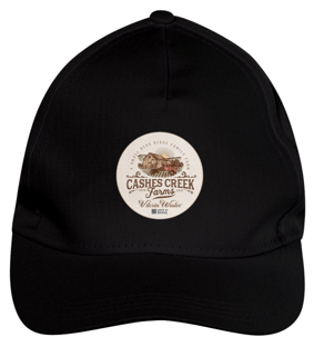 Nome do produto10022 VITÓRIA WESTER ® | BONÉ COUNTRY RODEIO [ BRIM ]