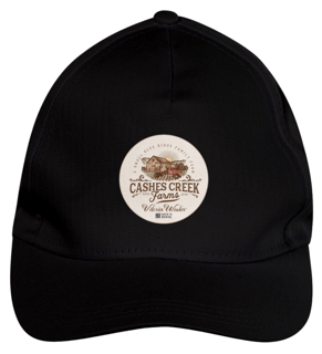 10022 VITÓRIA WESTER ® | BONÉ COUNTRY RODEIO [ BRIM ]