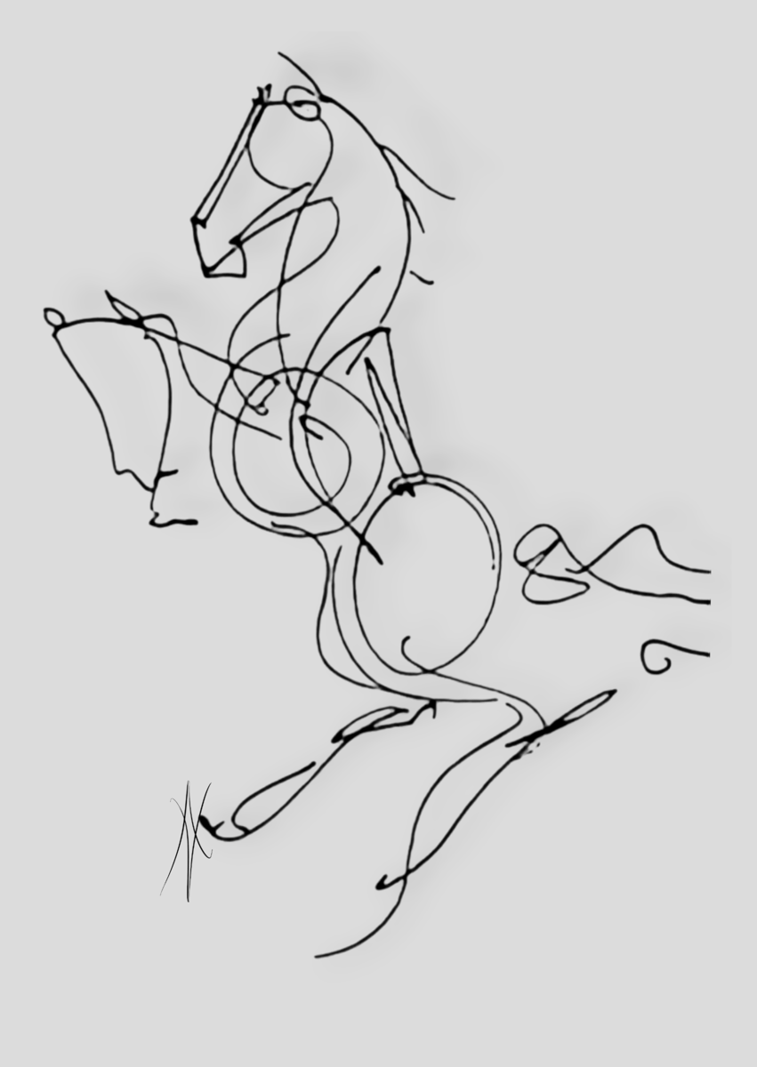 Nome do produto: Horse 02 - poster ou canvas