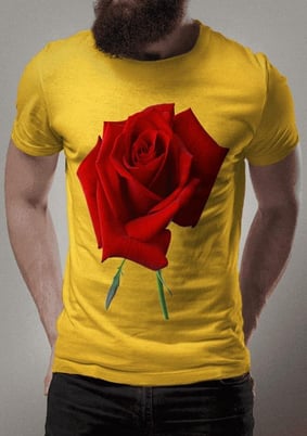 Rosa