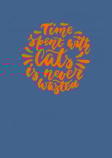 Nome do produto Time spent with cats is never wasted ball