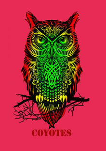 Nome do produtocoyotes 24