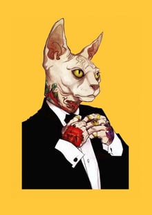 Nome do produtoCat Charles