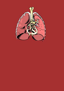Nome do produtoLungs and Heart
