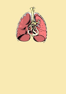 Nome do produtoLungs and Heart