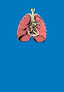 Nome do produtoHeart and Lung