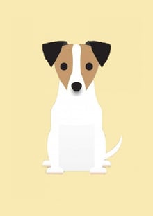 Nome do produtoCACHORRO