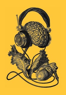 Nome do produtoCerebro fone